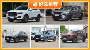 11万左右的SUV排行榜，性价比之选，买车的朋友看过来
