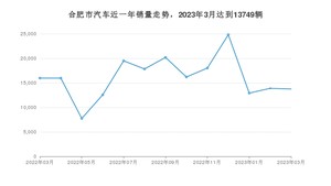 合肥市3月汽车销量 Model Y排名第一(2023年)