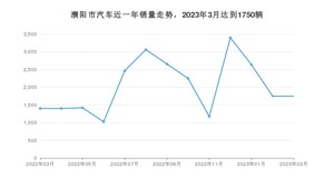 濮阳市3月汽车销量统计 宏光MINI EV排名第一(2023年)