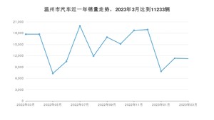 温州市3月汽车销量 Model Y排名第一(2023年)