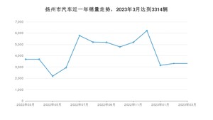 扬州市3月汽车销量 Model Y排名第一(2023年)