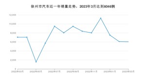 徐州市3月汽车销量统计 Model Y排名第一(2023年)