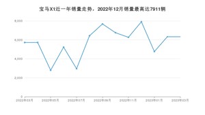 2023年3月宝马X1销量多少？ 在哪个城市卖得最好？