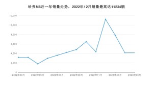 2023年3月哈弗M6销量多少？ 在哪个城市卖得最好？