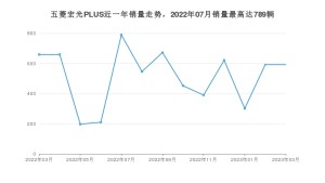 2023年3月五菱宏光PLUS销量数据发布 共卖了592台