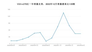 2023年3月中国重汽VGVVGV U70销量多少？ 在哪个城市卖得最好？