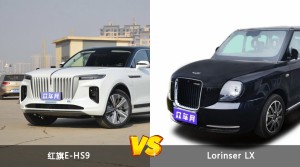 红旗E-HS9和Lorinser LX哪个更值得入手？哪款车的用户评价更高？