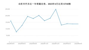 合肥市4月汽车销量 Model Y排名第一(2023年)