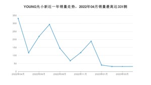 2023年4月电动屋YOUNG光小新销量数据发布 共卖了31台