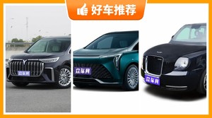 4座MPV60万左右哪款好？购车指数选车：第一名你绝对想不到