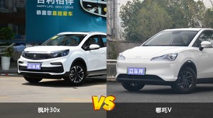 枫叶30x/哪吒V全面对比 哪款车的销量更高？