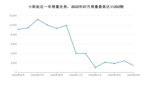 2023年5月奇瑞小蚂蚁销量如何？ 在微型车车型中排名怎么样？