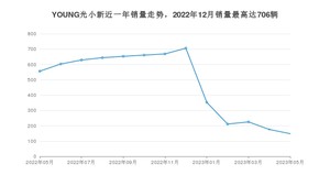 2023年5月电动屋YOUNG光小新销量如何？ 在微型车车型中排名怎么样？