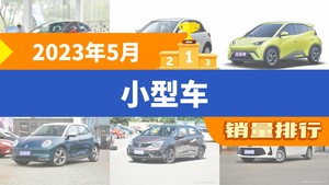 2023年5月小型车销量排行榜，海豚以29081辆夺冠，海鸥升至第3名 