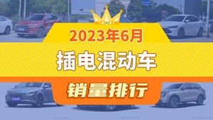 2023年6月插电混动车销量排行榜，汉位居第二，第一名你绝对想不到