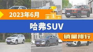 2023年6月哈弗SUV销量排行榜，哈弗M6位居第二，第一名你绝对想不到