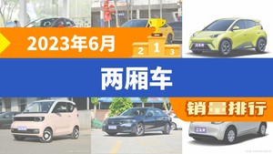 2023年6月两厢车销量排行榜，海豚夺得冠军，第二名差距也太大了 