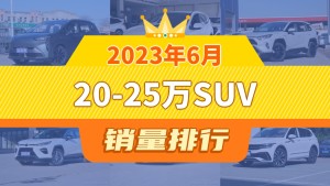 2023年6月20-25万SUV销量排行榜，Aion Y夺得冠军，第二名差距也太大了 