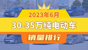 2023年6月30-35万纯电动车销量排行榜，Model Y夺得冠军，第二名差距也太大了 