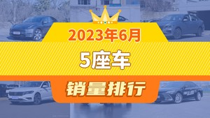 2023年6月5座车销量排行榜，朗逸屈居第三，Model 3成最大黑马