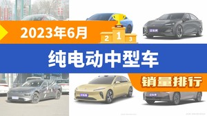 2023年6月纯电动中型车销量排行榜，Model 3以22741辆夺冠