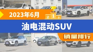 2023年6月油电混动SUV销量排行榜，本田CR-V夺得冠军，第二名差距也太大了 