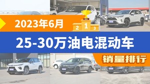 2023年6月25-30万油电混动车销量排行榜，RAV4荣放屈居第三，皓影成最大黑马