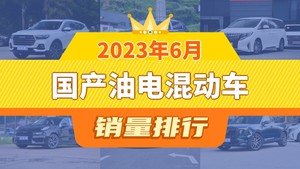 2023年6月国产油电混动车销量排行榜，传祺M8屈居第三，传祺GS8成最大黑马