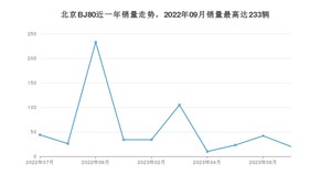 2023年7月北京BJ80销量多少？ 在哪个城市卖得最好？