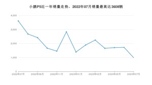 2023年7月小鹏汽车小鹏P5销量数据发布 共卖了980台