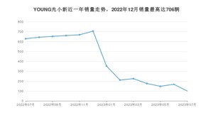 2023年7月电动屋YOUNG光小新销量数据发布 共卖了100台