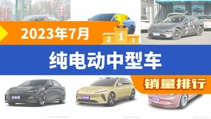 2023年7月纯电动中型车销量排行榜，Model 3夺得冠军，第二名差距也太大了 