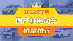 2023年7月国产纯电动车销量排行榜，海鸥以24989辆夺冠