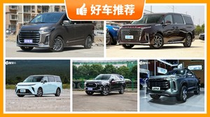 上汽大通32万左右的车型推荐，上汽大通MAXUS MIFA 9动力，舒适性、操控表现最好