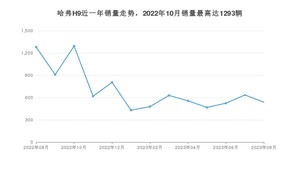 2023年8月哈弗H9销量多少？ 在哪个城市卖得最好？