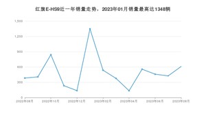 2023年8月红旗E-HS9销量多少？ 在哪个城市卖得最好？