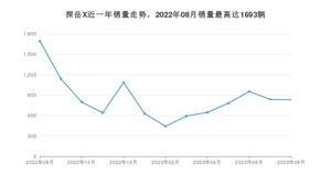 2023年8月大众探岳X销量多少？ 在哪个城市卖得最好？