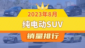 2023年8月纯电动SUV销量排行榜，Model Y以51117辆夺冠，几何E升至第10名 