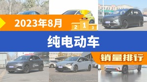 2023年8月纯电动车销量排行榜，Aion Y屈居第三，Model 3成最大黑马