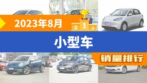 2023年8月小型车销量排行榜，海鸥夺得冠军，第二名差距也太大了 