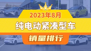 2023年8月纯电动紧凑型车销量排行榜，秦PLUS位居第二，第一名你绝对想不到