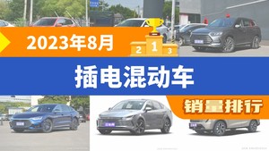 2023年8月插电混动车销量排行榜，宋PLUS新能源屈居第三