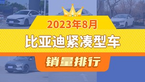 2023年8月比亚迪紧凑型车销量排行榜，秦新能源屈居第三，比亚迪e3成最大黑马