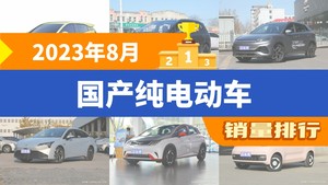 2023年8月国产纯电动车销量排行榜，海鸥以34841辆夺冠，宋PLUS新能源升至第10名 