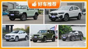 5座紧凑型SUV30万左右哪款好？坦克300动力，油耗表现最优秀