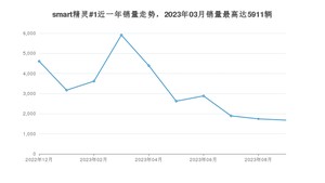 2023年9月smart精灵#1销量多少？ 在哪个城市卖得最好？