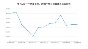 2023年9月哪吒汽车哪吒U销量多少？ 在哪个城市卖得最好？