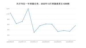 2023年9月东风风行风行T5销量数据发布 共卖了571台