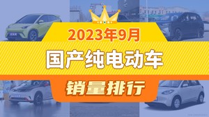 2023年9月国产纯电动车销量排行榜，海鸥以35011辆夺冠，熊猫mini升至第10名 