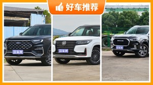 7座中大型SUV17万左右哪款好？耐用又实惠的车，买车的朋友看过来